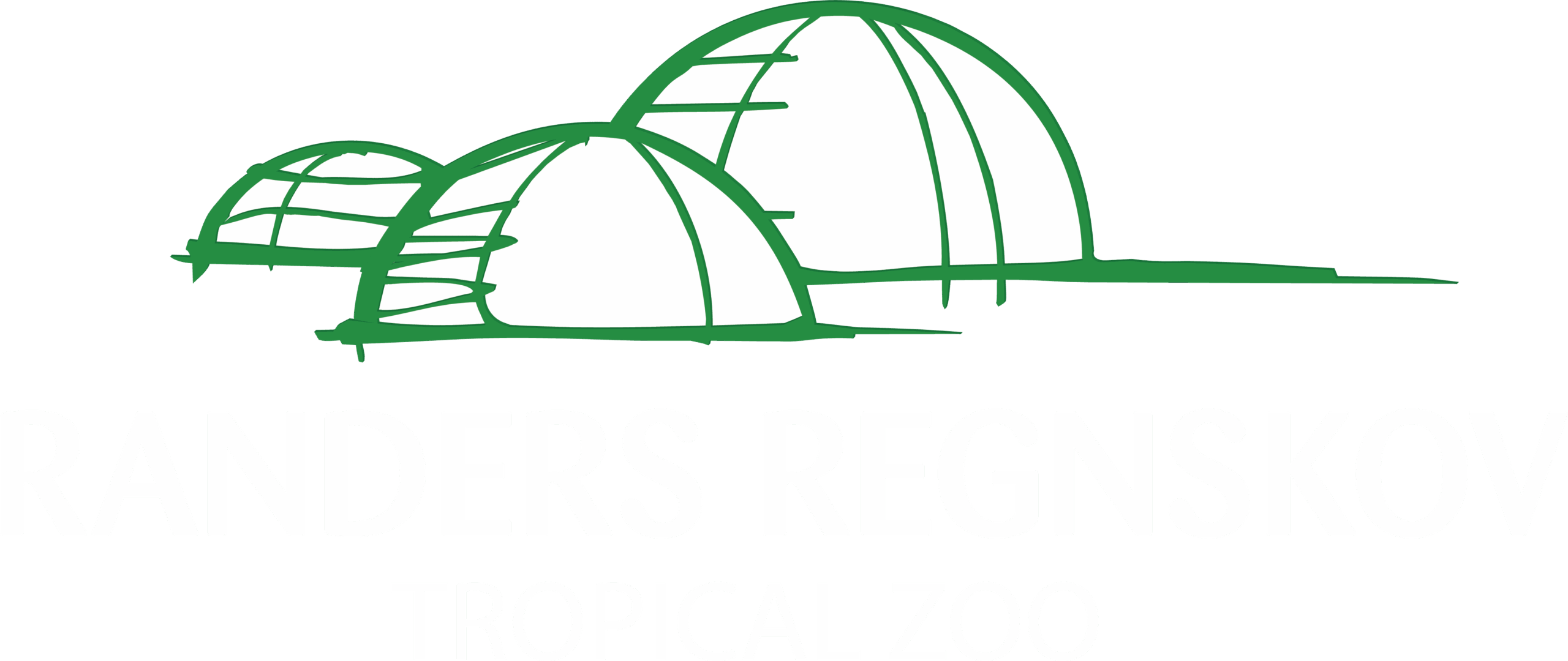 Randers regnskov logo hvid